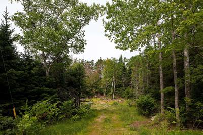10 Spruce Lane — photo 7