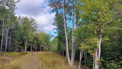Golden Shore Dr #Lot 14 — photo 8