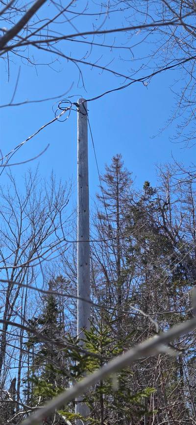153 Taylors Road — photo 3