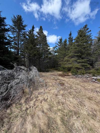 Stoney Island Road Lot DJ-1 — photo 3