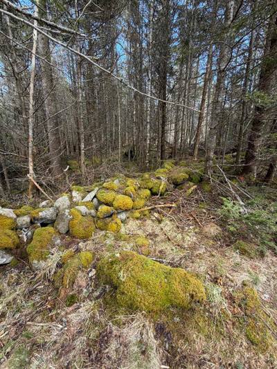 Stoney Island Road Lot DJ-1 — photo 4