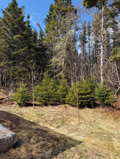 Stoney Island Road Lot DJ-1 — photo 8