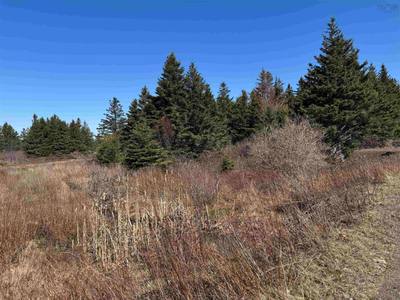 Shore Road Lot 3 — photo 4