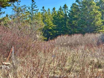 Shore Road Lot 3 — photo 5