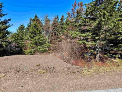 Shore Road Lot 3 — photo 6