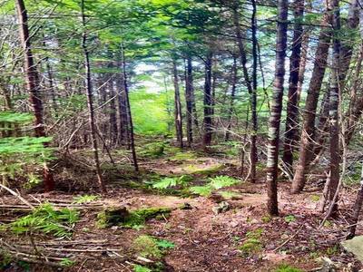 Sandy Point Road #Lot 1 — photo 5