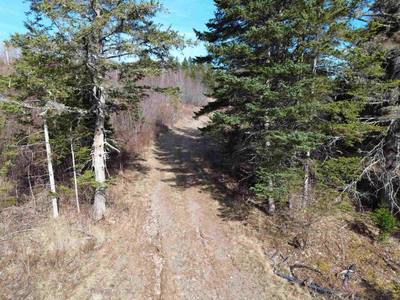 10036 Highway 2 — photo 3