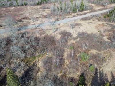 10036 Highway 2 — photo 4