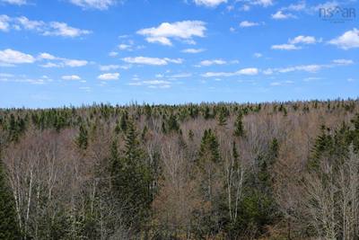 Lower River Road, Grantville #Lot 23 — photo 3