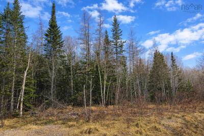Lower River Road, Grantville #Lot 23 — photo 5
