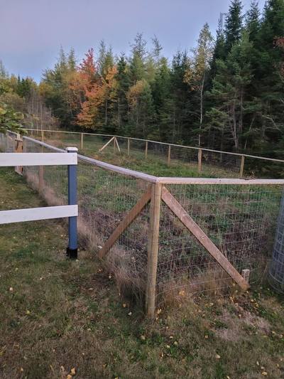 38 Rustic Drive — photo 5