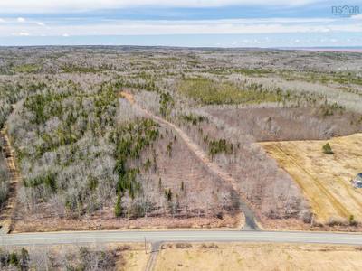 Highway 215 Acreage — photo 5