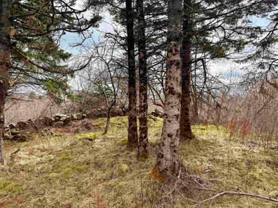 Eagle Head Wharf Road #Lot — photo 5
