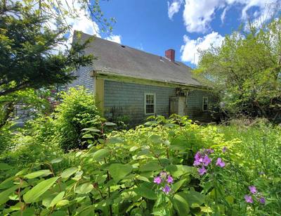 155 Pelham Street — photo 2