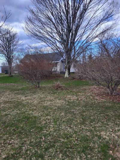 281 Lower Truro Road — photo 4