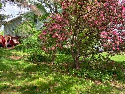 1278 Crisp Road — photo 4