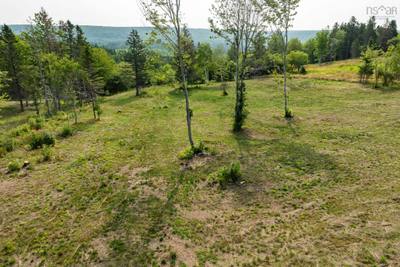 Highway 19, Hawleys Hill #Lot 2 — photo 5