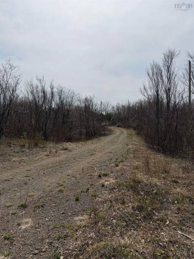 Shore Road #Lot 2 — photo 4