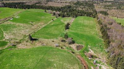 Port Lorne Road #Lot — photo 2