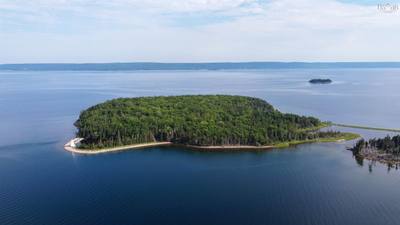 Cameron Island — photo 3