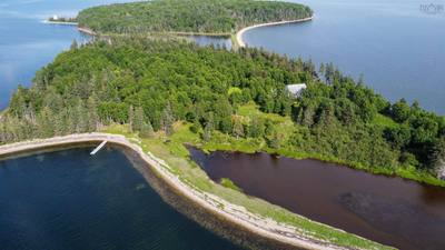 Cameron Island — photo 7
