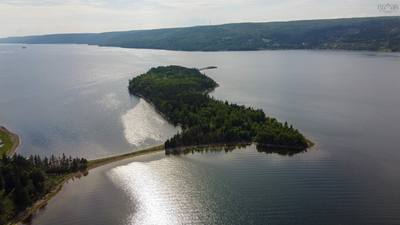 Cameron Island — photo 8