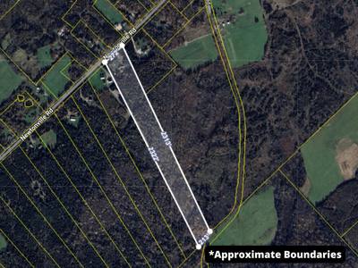 808 Newtonville Road — photo 7