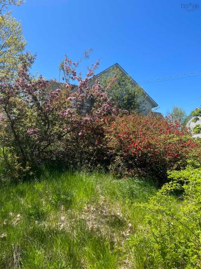 7017 Highway 1 — photo 6