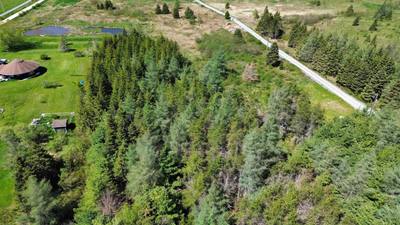 Highway 214 #Lot 3 — photo 4