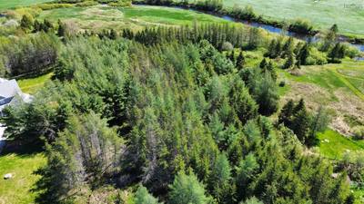 Highway 214 #Lot 3 — photo 5