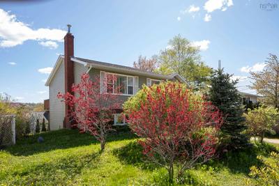 10 Old Birch Road — photo 5