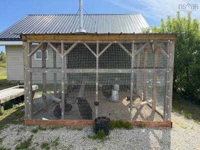 3160 Main Shore Road — photo 8