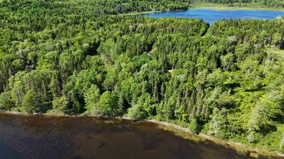 Gabe Macisaac, Salem Road #Lot 98-7C — photo 8