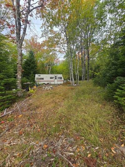 41 Freeman Collicutt Road — photo 3