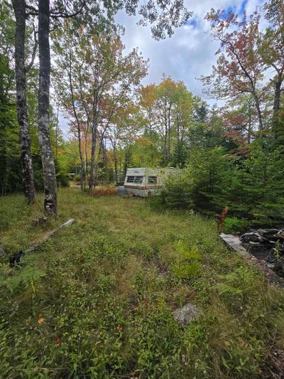 41 Freeman Collicutt Road — photo 4