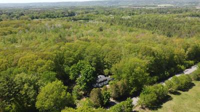 Victoria Road #Lot 202 — photo 5