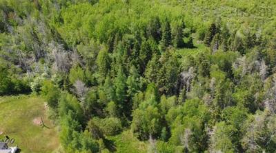 6 Trunk Highway — photo 2
