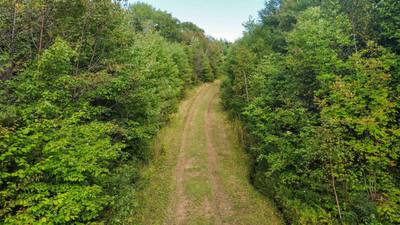 Orangedale-Iona Road — photo 4