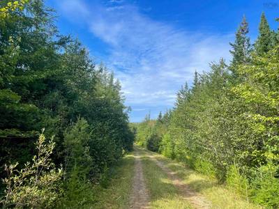 Orangedale-Iona Road — photo 5