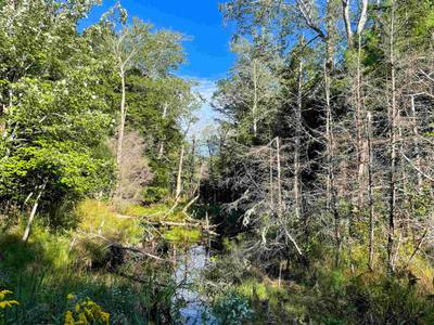 Orangedale-Iona Road — photo 6