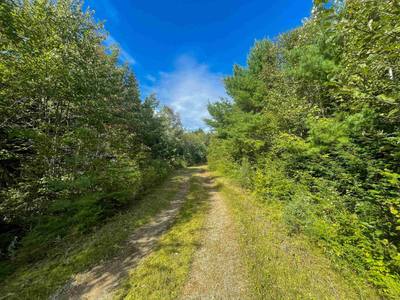 Orangedale-Iona Road — photo 7