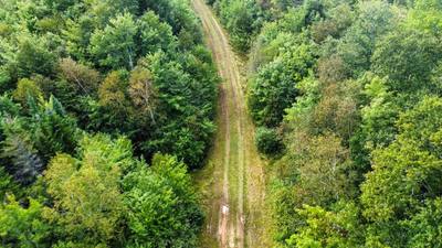 Orangedale-Iona Road — photo 8