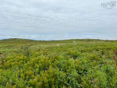 Baccaro Road #Lot A — photo 4