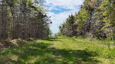 Highway 4 — photo 3