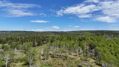 Highway 4 — photo 4