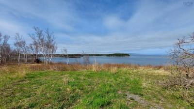 Highway 4 — photo 4