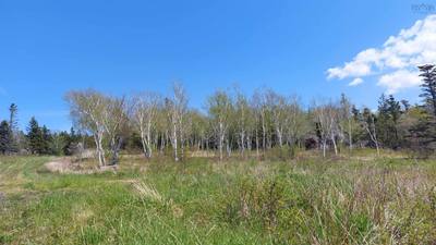 Highway 4 — photo 5