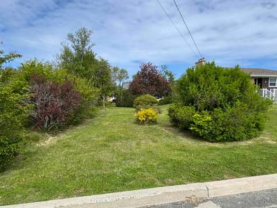 4 Macaulay Avenue — photo 3