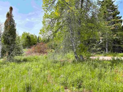 9260 N0. 2 Great Village Highway — photo 8