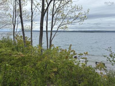 4030 Marble Mountain Road — photo 4